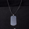 Placa Plateada - Imagen 2